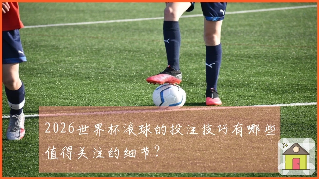 2026世界杯滚球的投注技巧有哪些值得关注的细节？