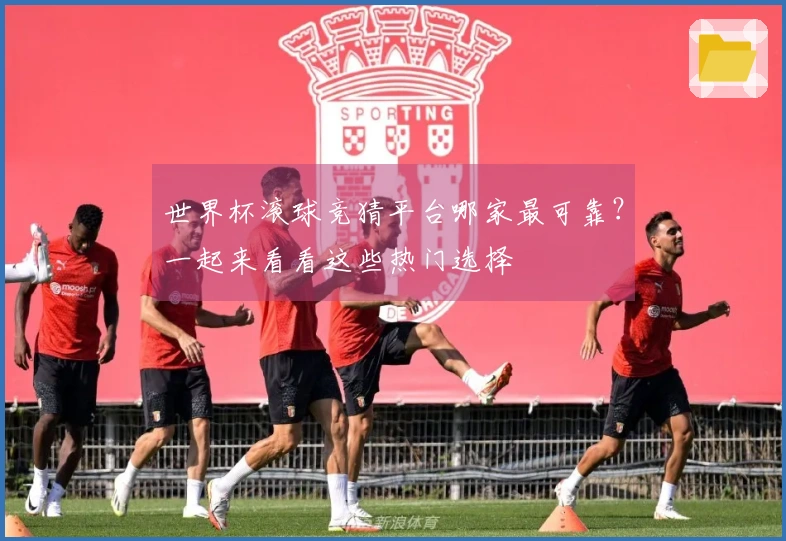 世界杯滚球竞猜平台哪家最可靠？一起来看看这些热门选择