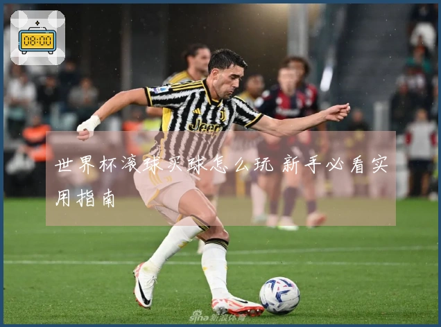 世界杯滚球买球怎么玩 新手必看实用指南