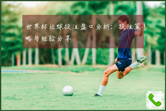 世界杯让球投注盘口分析：投注策略与经验分享