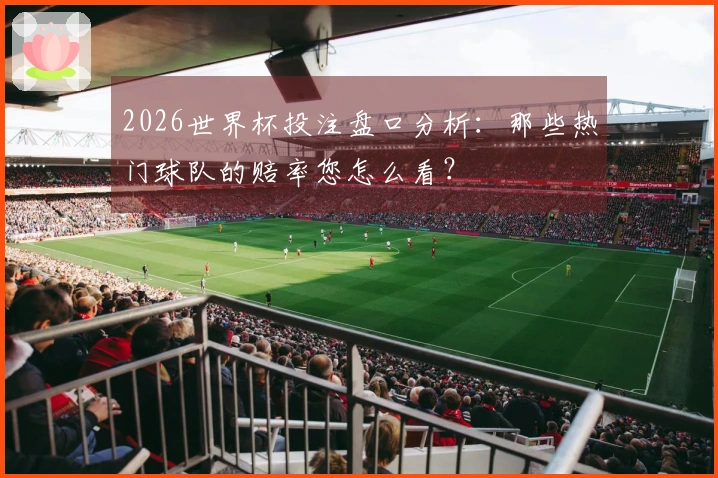 2026世界杯投注盘口分析：那些热门球队的赔率您怎么看？
