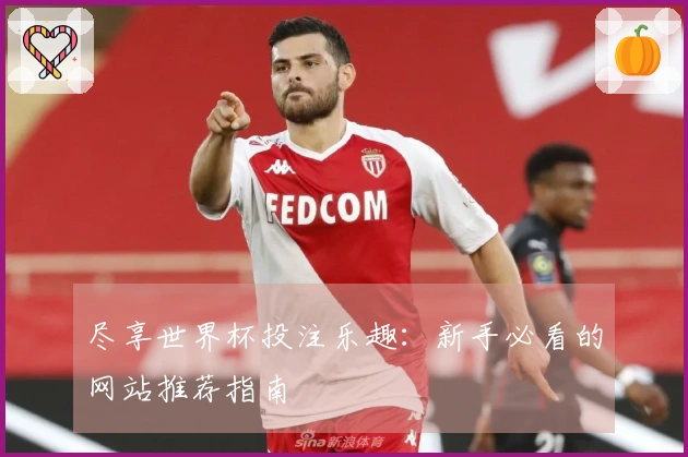 尽享世界杯投注乐趣：新手必看的网站推荐指南