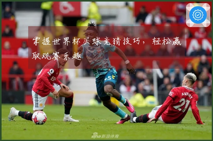 掌握世界杯买球竞猜技巧，轻松赢取观赛乐趣