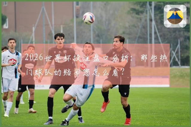 2026世界杯投注盘口分析：那些热门球队的赔率您怎么看？