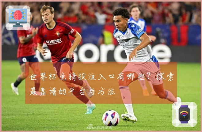世界杯竞猜投注入口有哪些？探索最靠谱的平台与方法