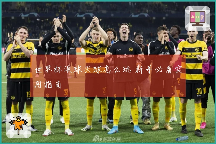 世界杯滚球买球怎么玩 新手必看实用指南