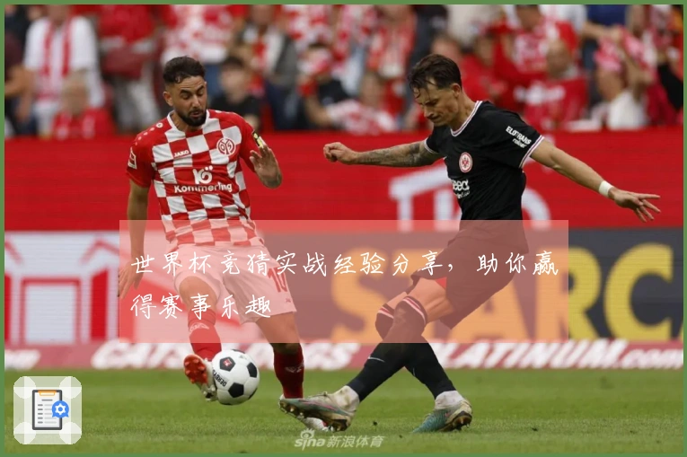 世界杯竞猜实战经验分享，助你赢得赛事乐趣