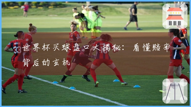 世界杯买球盘口大揭秘：看懂赔率背后的玄机