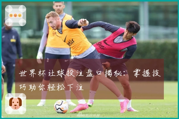 世界杯让球投注盘口揭秘：掌握技巧助你轻松下注