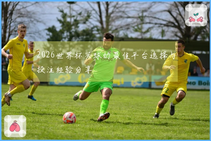 2026世界杯买球的最佳平台选择与投注经验分享