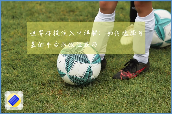 世界杯投注入口详解：如何选择可靠的平台和投注技巧