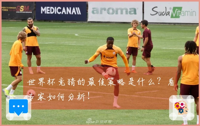 世界杯竞猜的最佳策略是什么？看专家如何分析！
