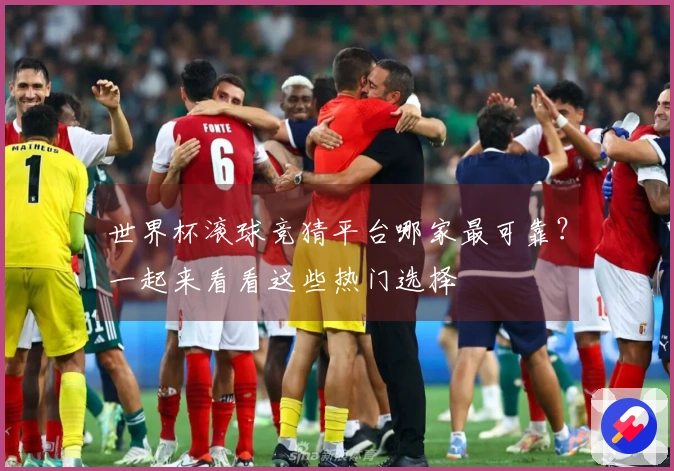 世界杯滚球竞猜平台哪家最可靠？一起来看看这些热门选择