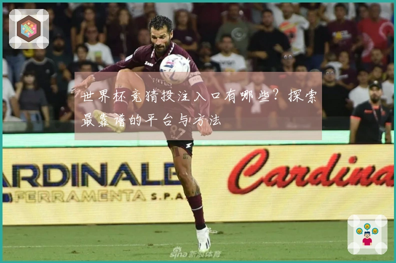 世界杯竞猜投注入口有哪些？探索最靠谱的平台与方法