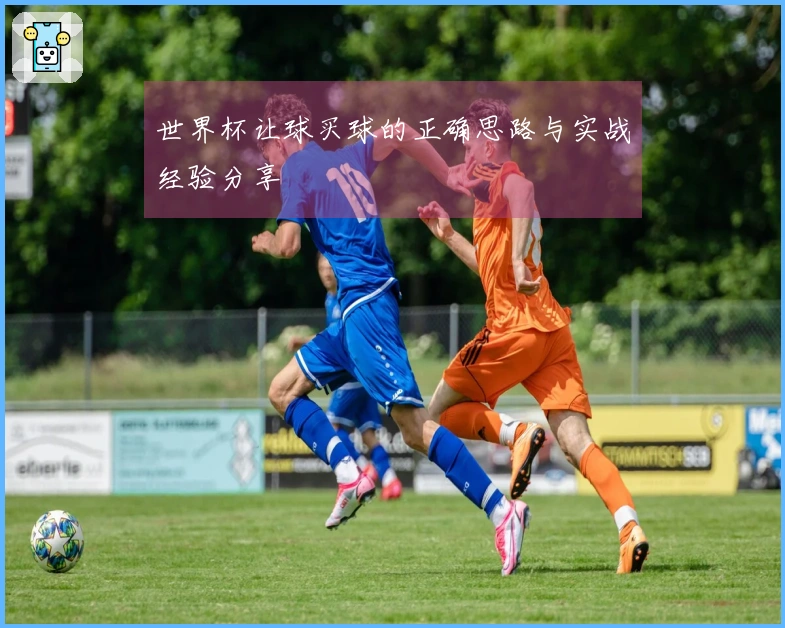 世界杯让球买球的正确思路与实战经验分享