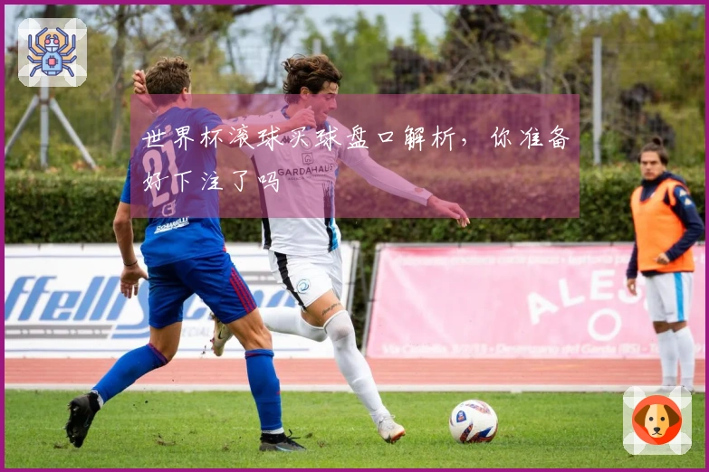 世界杯滚球买球盘口解析，你准备好下注了吗