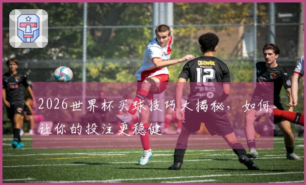 2026世界杯买球技巧大揭秘，如何让你的投注更稳健