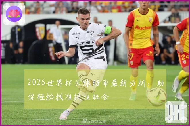 2026世界杯买球赔率最新分析，助你轻松找准投注机会