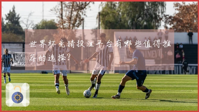 世界杯竞猜投注平台有哪些值得推荐的选择？