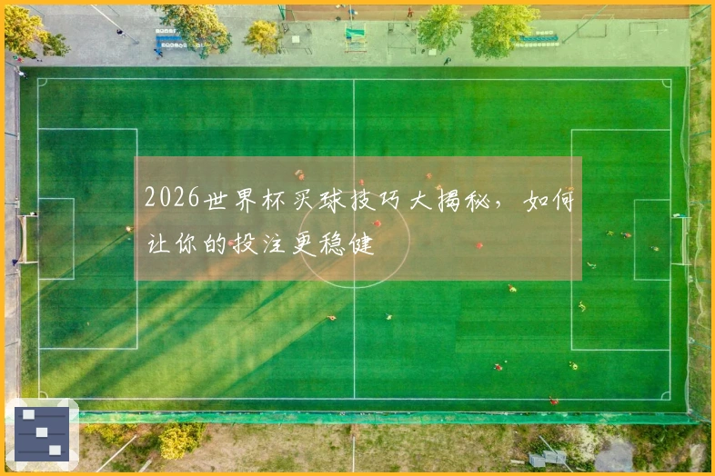 2026世界杯买球技巧大揭秘，如何让你的投注更稳健