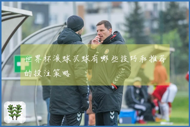 世界杯滚球买球有哪些技巧和推荐的投注策略